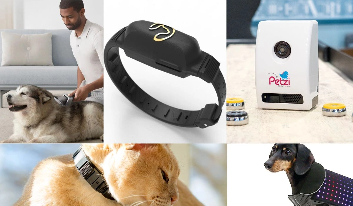 8 Animal Gadgets That Will Make You Want A Pet
