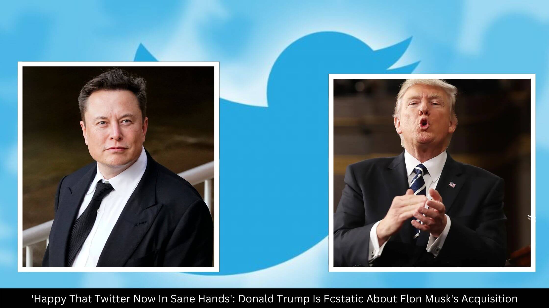 'Happy That Twitter Now In Sane Hands' Donald Trump Is Ecstatic About Elon Musk's Acquisition