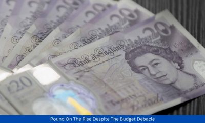 Pound On The Rise Despite The Budget Debacle