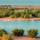 Al Qudra Lake - A Complete Guide