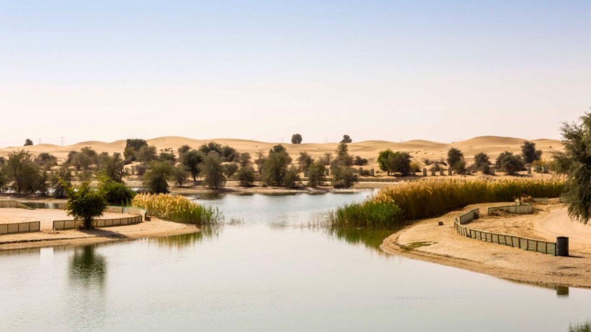 The interesting facts about Al qudra lake