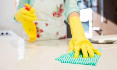 UAE Announces Domestic Workers Law For Golden Visa Holder!