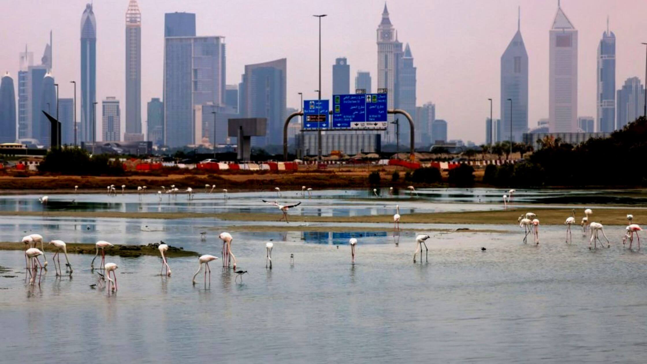 UAE Rains The Country's Weather Remains Unstable As Clouds Are Forming