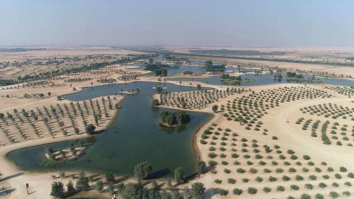 Dubai's New Digital Platform To Showcase Its 8 Nature Reserves