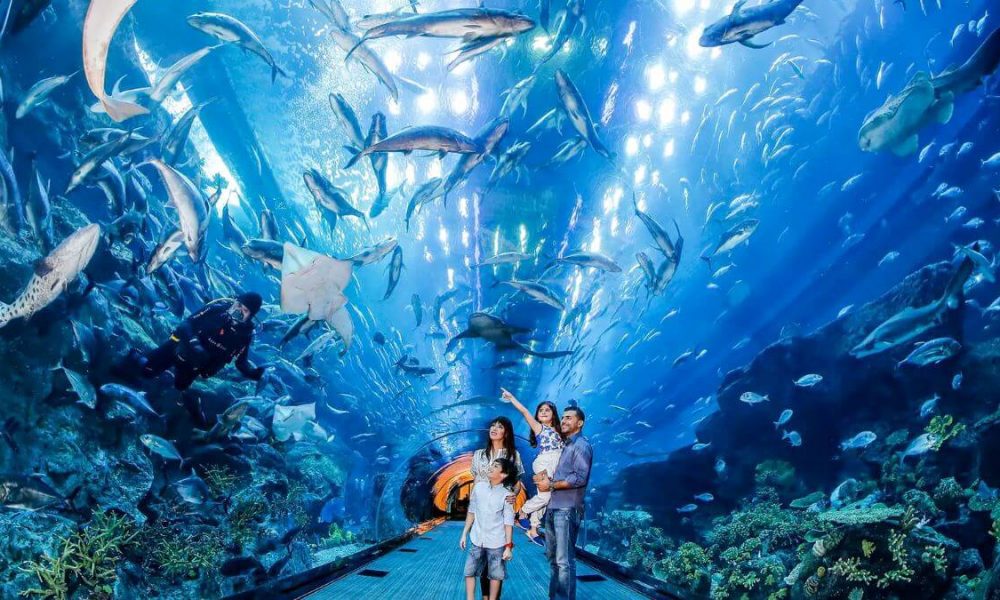 Everything You Need To Know About Dubai Aquarium And Underwater World