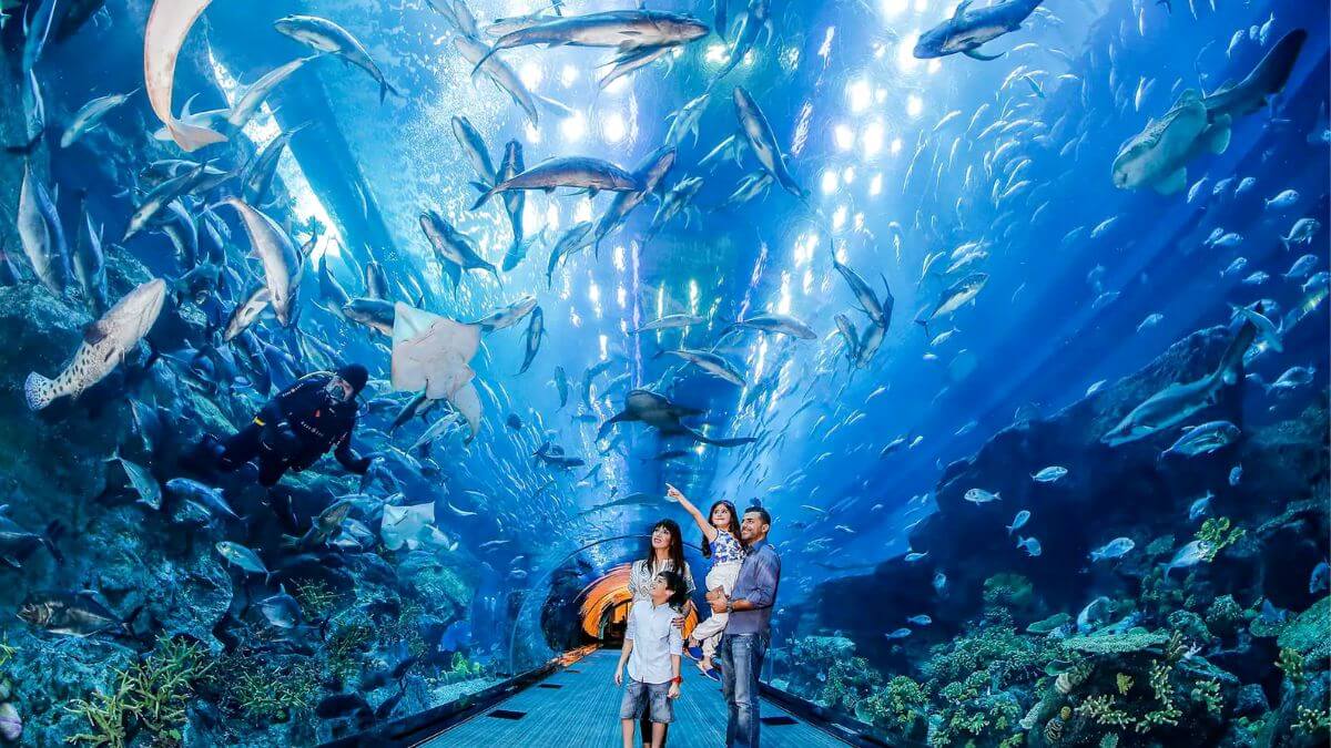 Everything You Need To Know About Dubai Aquarium And Underwater Zoo