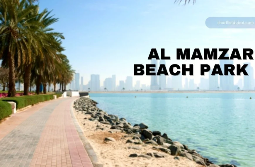 Al Mamzar Beach Park: Things To Do, Ticket Price, Timings, And More