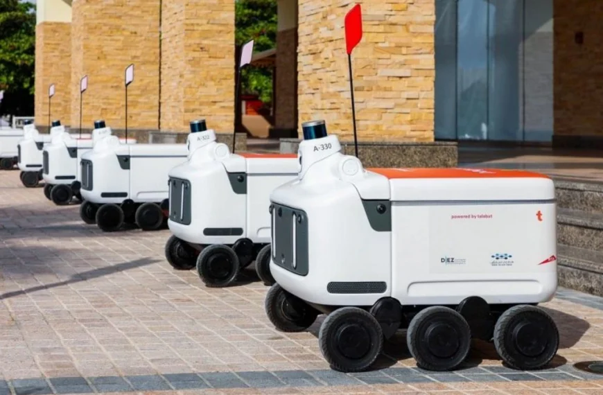 Dubai Launches Takeaway Delivery Robots