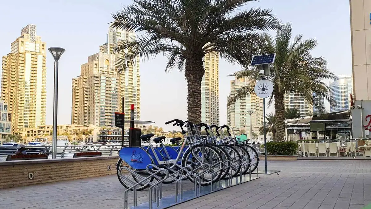 Marina Walk Features and Attractions
