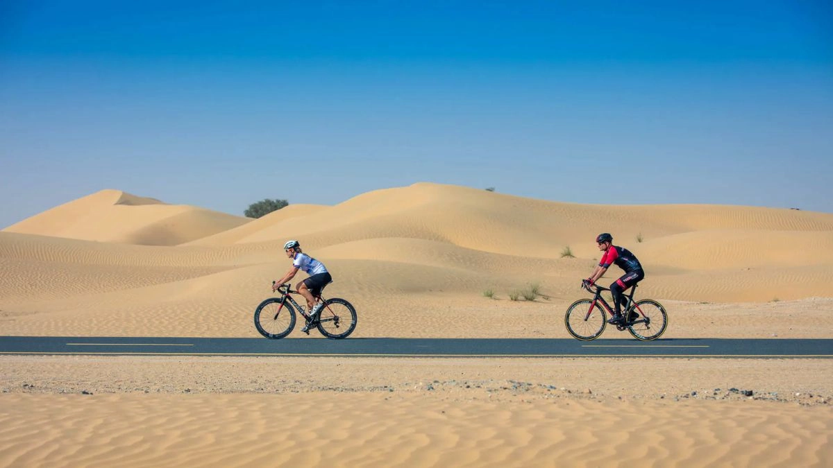 Things to Explore in the Al Qudra Cycle Track Routes