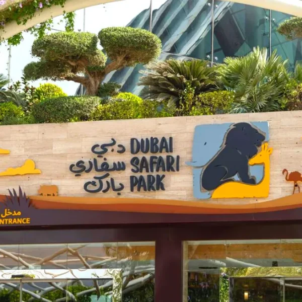 All About Dubai Safari Park: Ticket Price, Opening Timings, Offers, Map, Location, And More