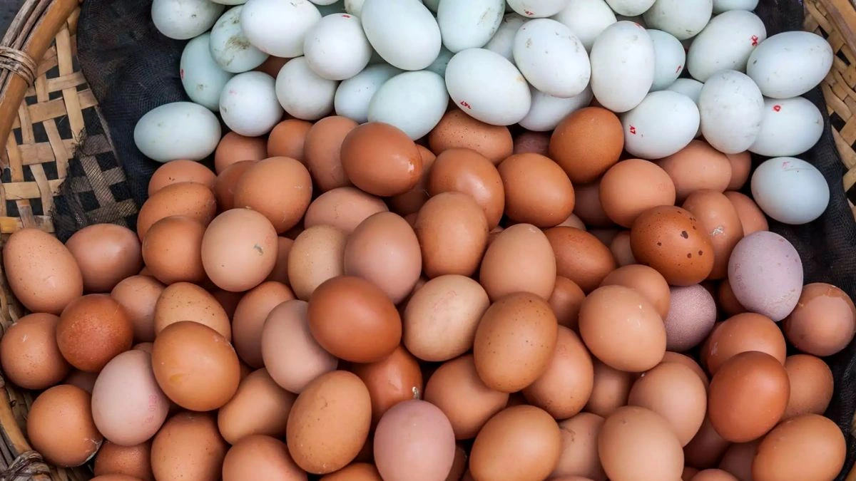 Price hike for eggs and poultry products