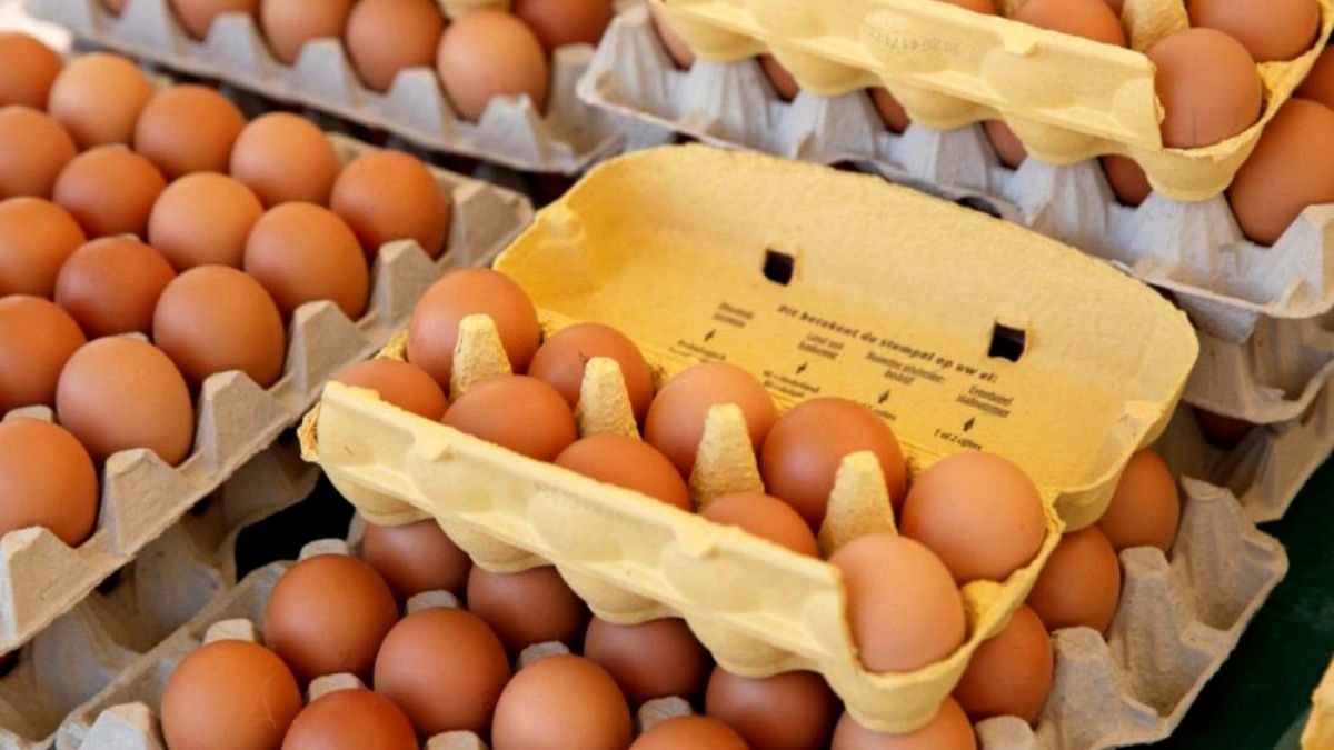 The Ministry Of Economy UAE Announces Price Hike For Egg And Poultry Products