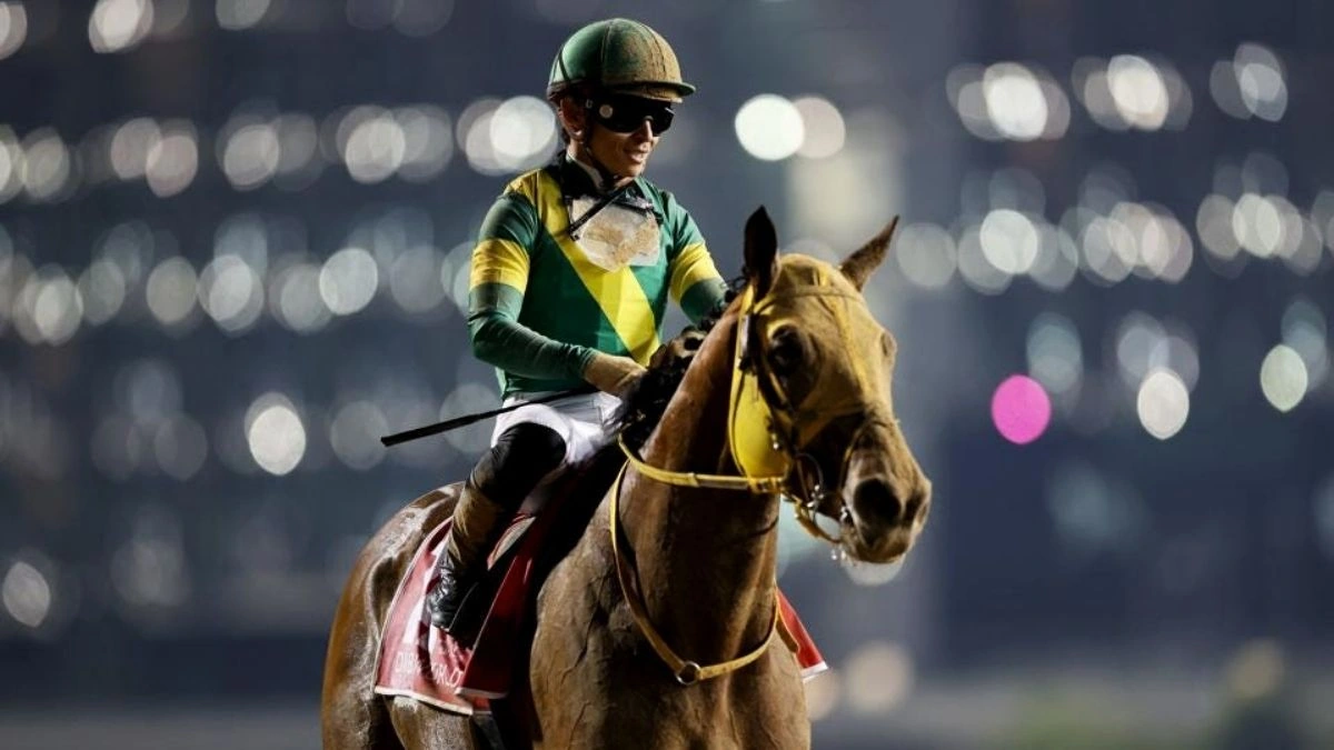 Ushba Tesoro, a 6-year-old horse, claimed victory in the prestigious race 