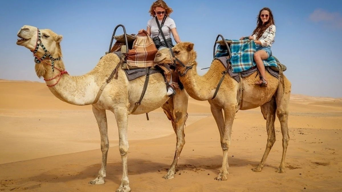 VIP desert safari with camel riding