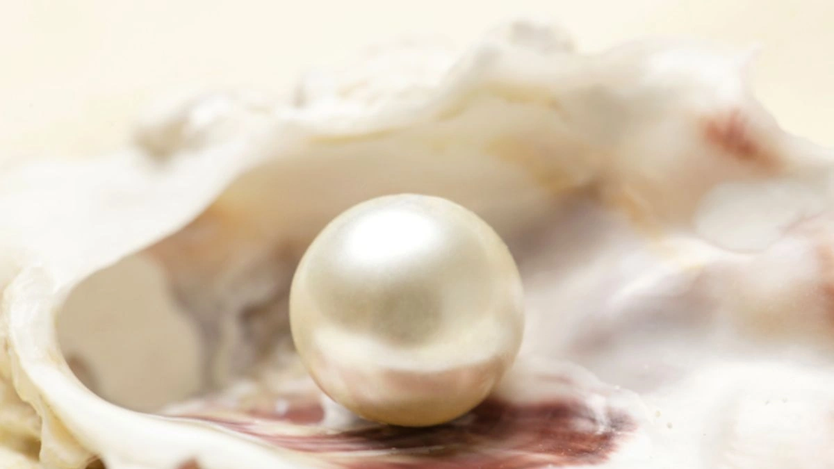 Importance of Pearl Diving and Trade In Dubai